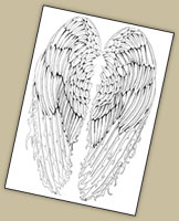 Black and White wing design